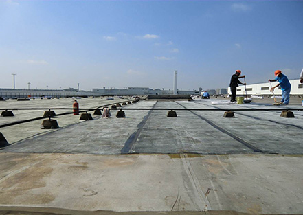 上?；瘜W(xué)建材協(xié)會(huì)防水材料及技術(shù)分會(huì)成立，公司董...